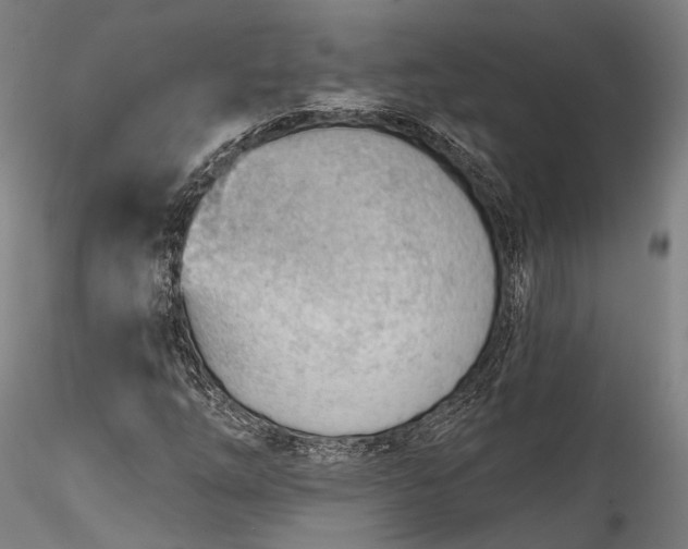 X0000115771254200911271132