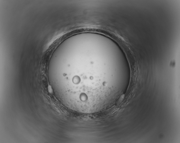 X0000115771255200911271132