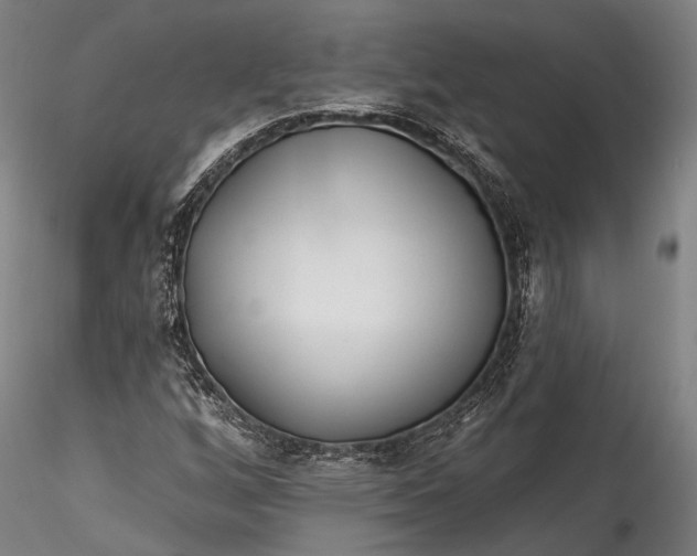 X0000115771256200911271132
