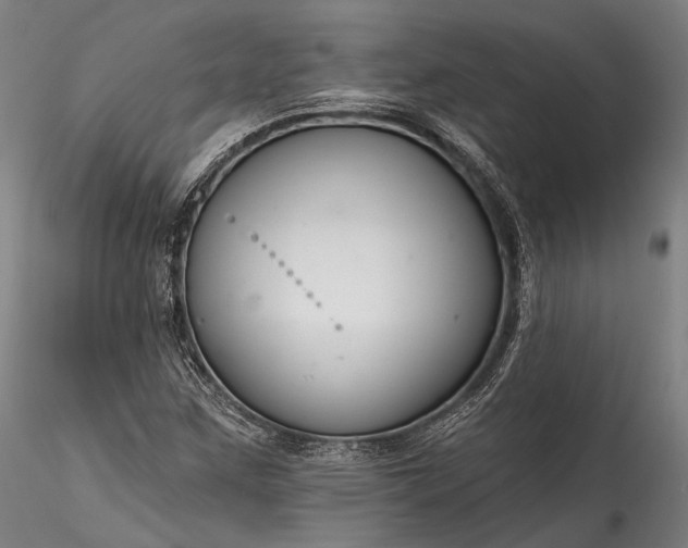 X0000115771259200911271132