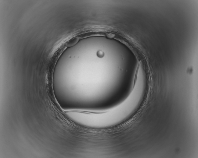 X0000115771261200911271132