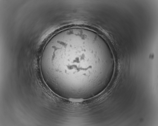 X0000115771263200911271132
