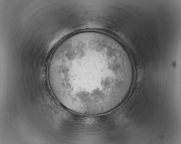 X0000115771266200911271132