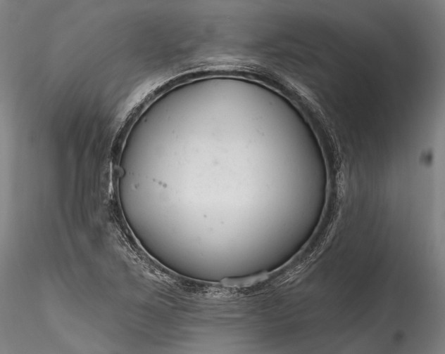X0000115771267200911271132