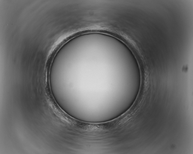 X0000115771270200911271131