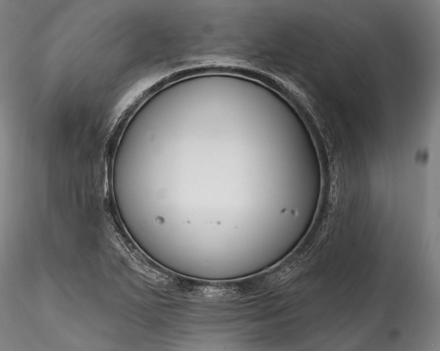 X0000115771271200911271131