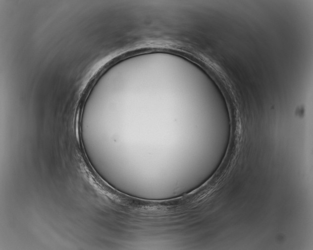 X0000115771272200911271131