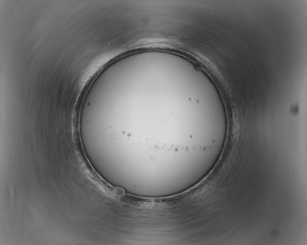 X0000115771277200911271131