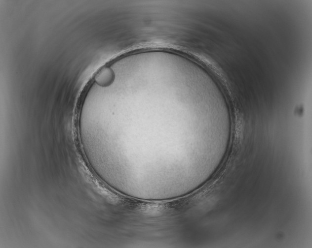 X0000115771278200911271131