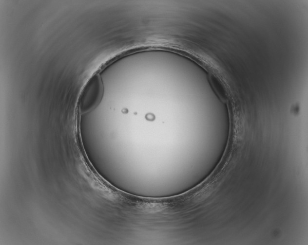 X0000115771280200911271131