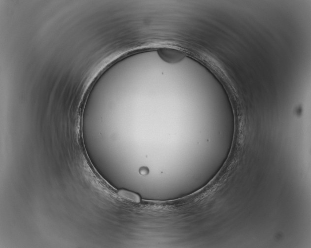 X0000115771284200911271131