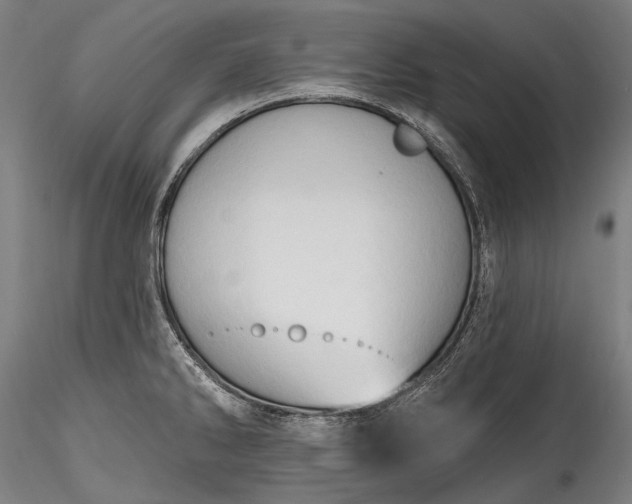 X0000115771286200911271131