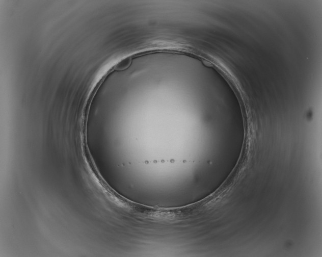 X0000115771291200911271131