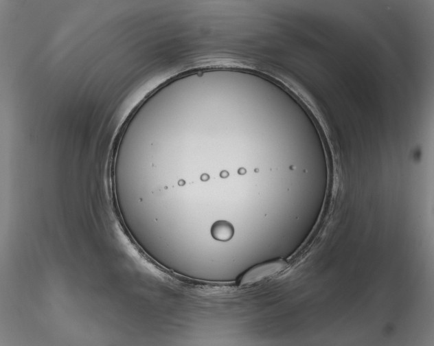 X0000115771293200911271131