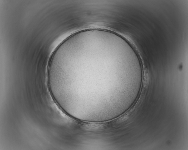 X0000115771294200911271131