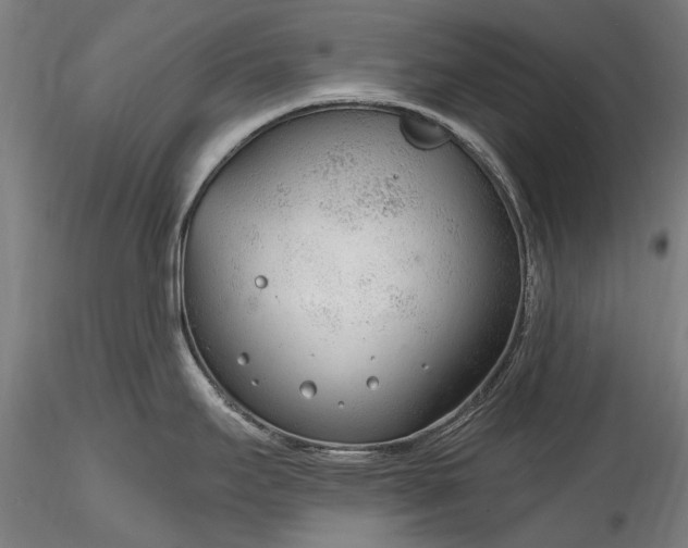 X0000115771295200911271131