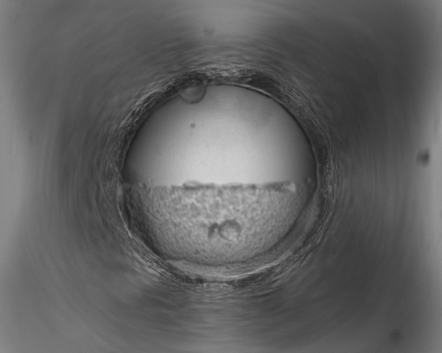 X0000115771297200911271130