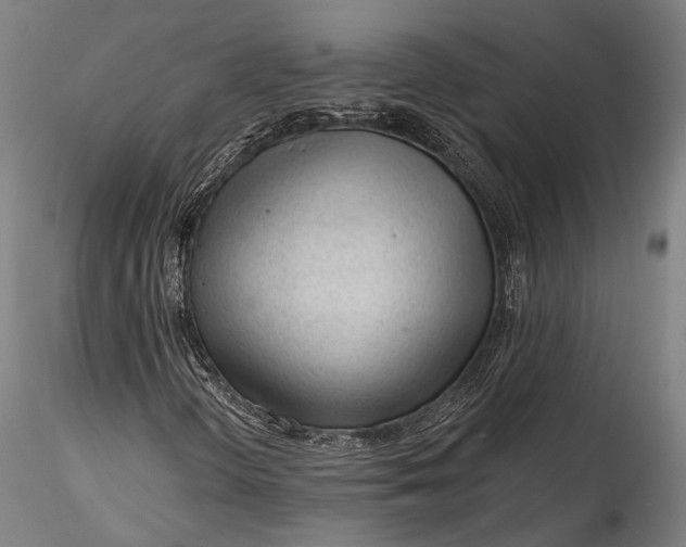 X0000115771298200911271130