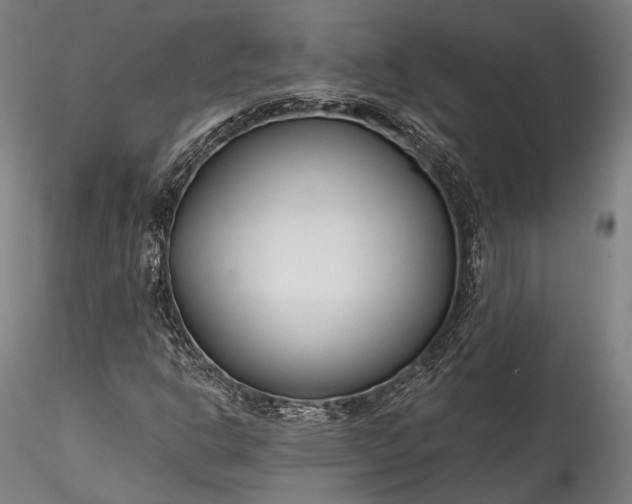X0000115771302200911271130