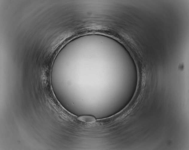 X0000115771305200911271130