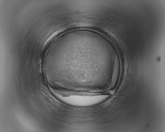 X0000115771306200911271130