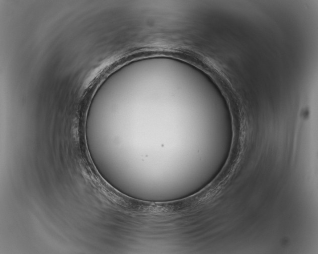 X0000115771307200911271130
