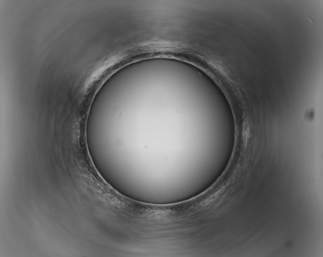 X0000115771309200911271130