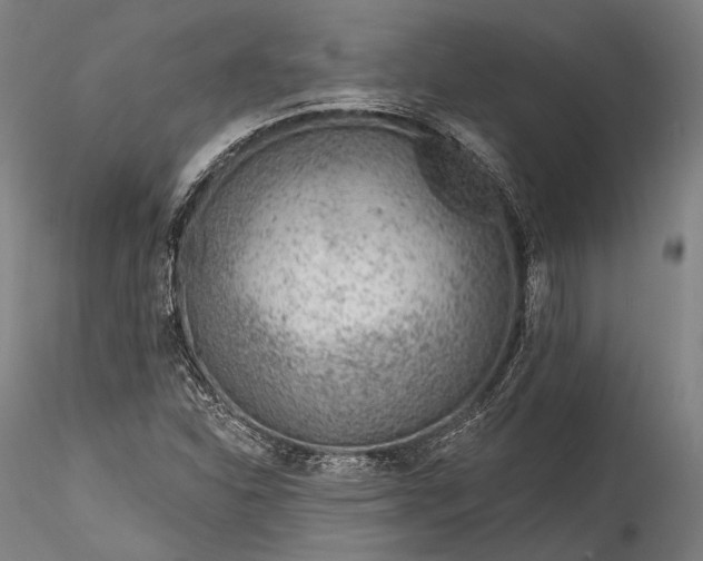 X0000115771310200911271130