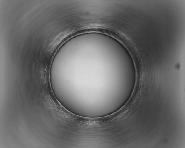 X0000115771313200911271131