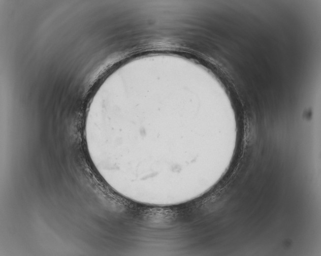 X0000115771314200911271131