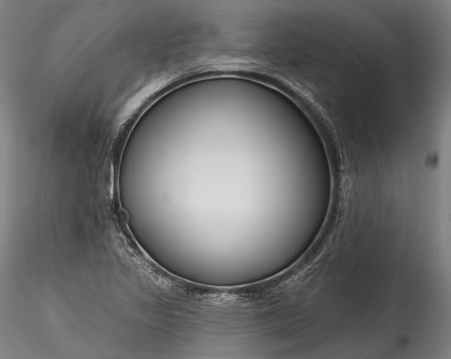X0000115771317200911271131