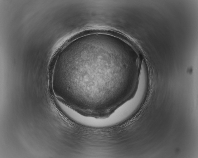 X0000115771319200911271131