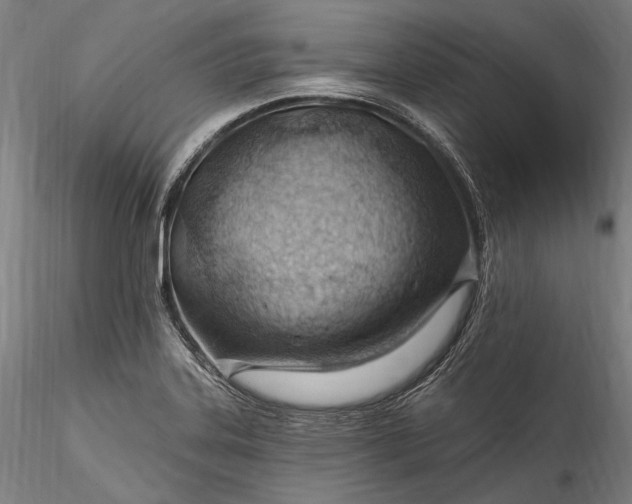 X0000115771323200911271131