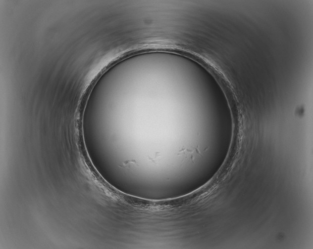 X0000115771325200911271131