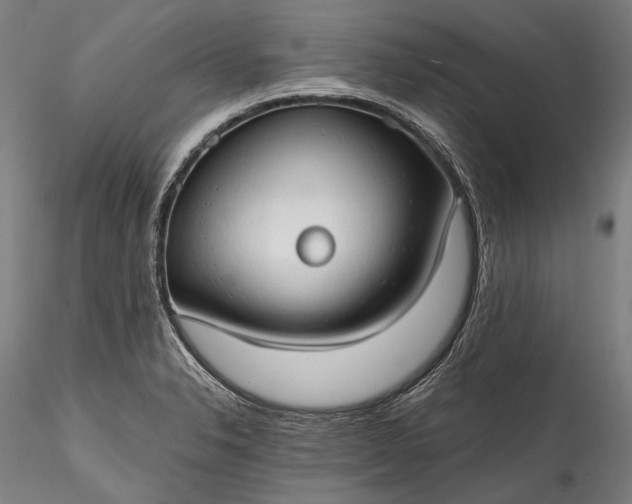 X0000115771326200911271131