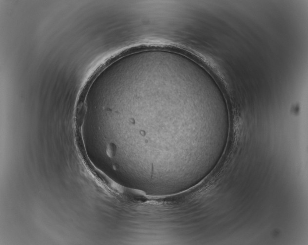 X0000115771327200911271131