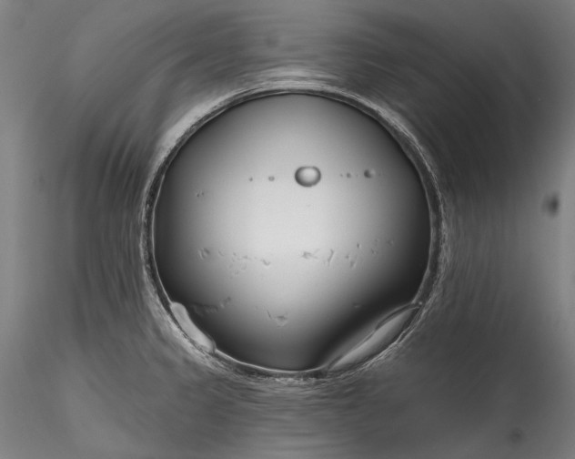 X0000115771333200911271131