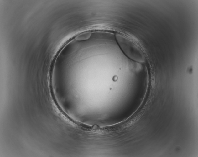 X0000115771334200911271131