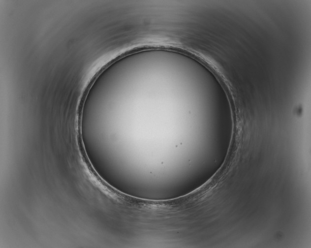 X0000115771335200911271131