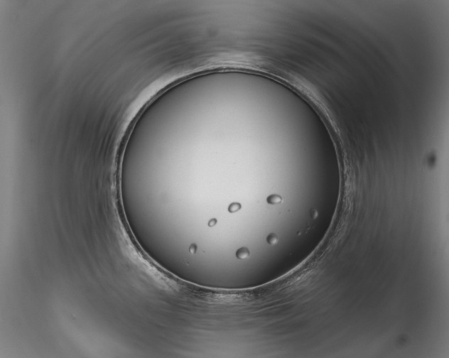 X0000115771339200911271131