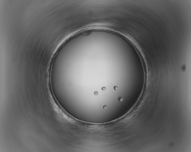 X0000115771341200911271131