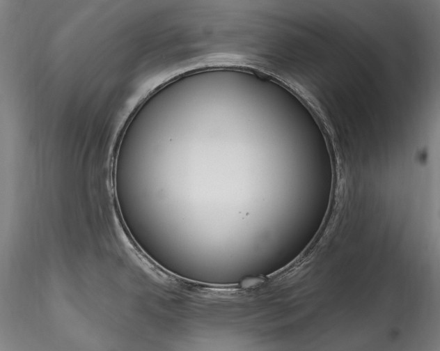 X0000115771342200911271131