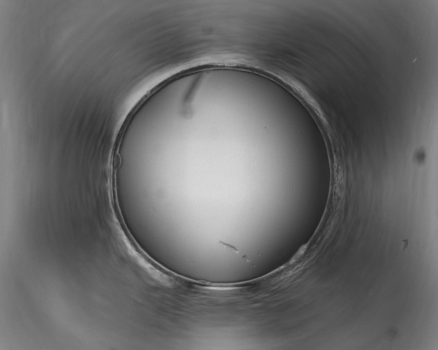 X0000115771343200911271131