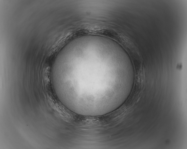 X0000115771346200911271130