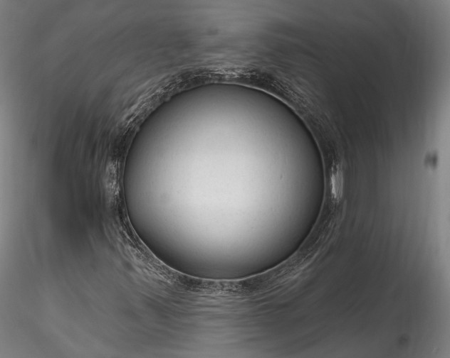 X0000115771347200911271130
