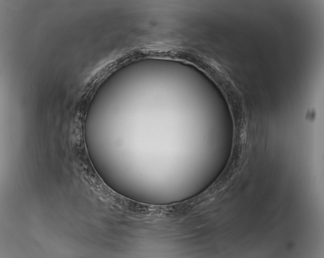 X0000115771350200911271130