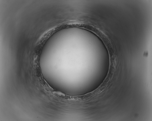 X0000115771351200911271130