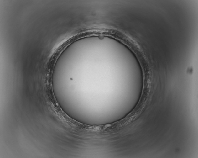 X0000115771352200911271130