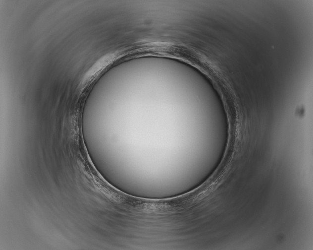 X0000115771354200911271130
