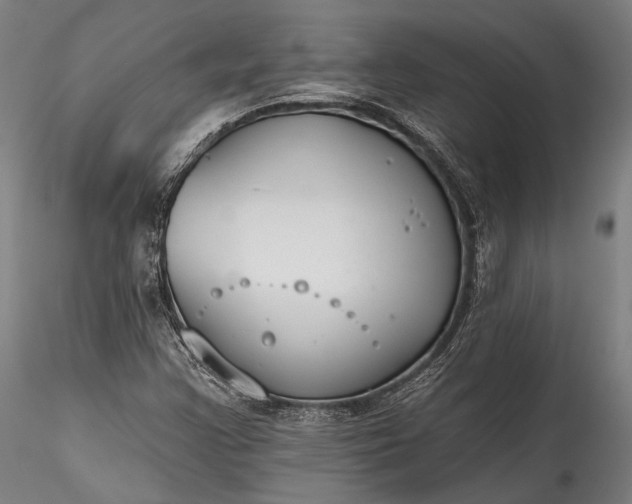 X0000115771355200911271130